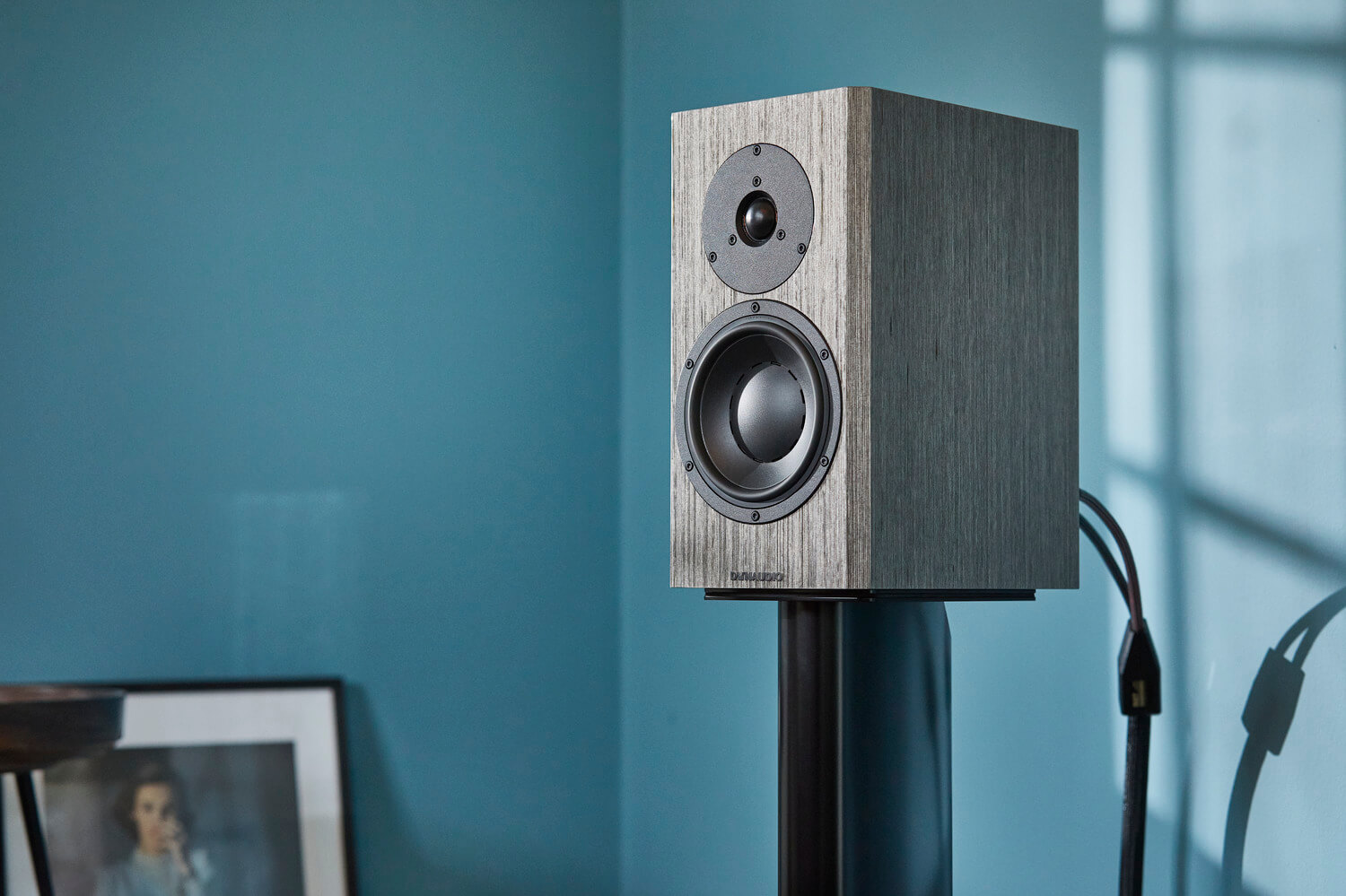 Dynaudio Special Forty